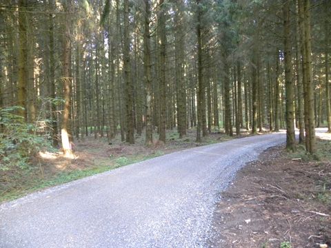 Foto 51